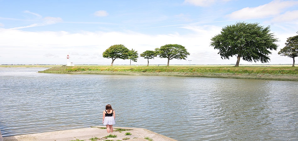 Que peut-on voir et faire dans la Baie de la Somme ?