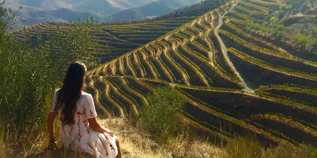 Les meilleurs vignobles d&rsquo;Ardèche